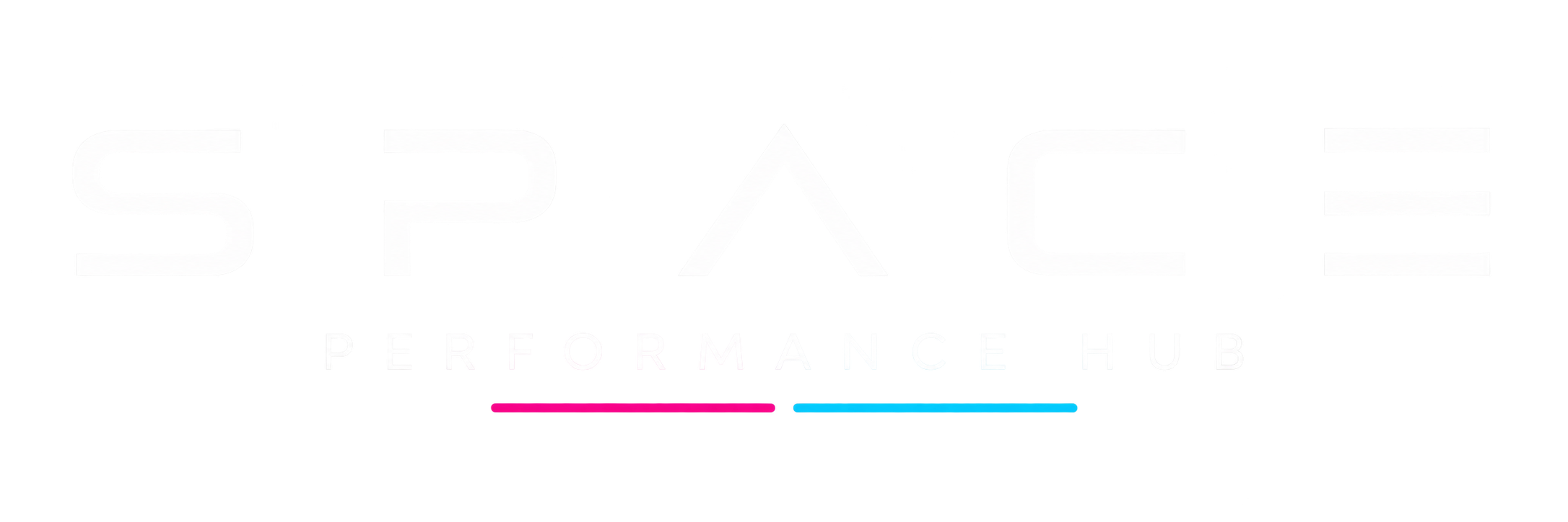 SPACE Performance Hub